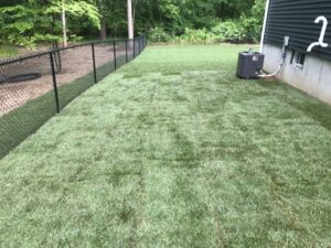 Lawn Fertilization
