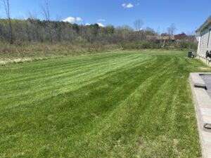 Lawn Fertilization