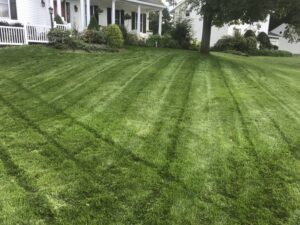 Lawn Fertilization